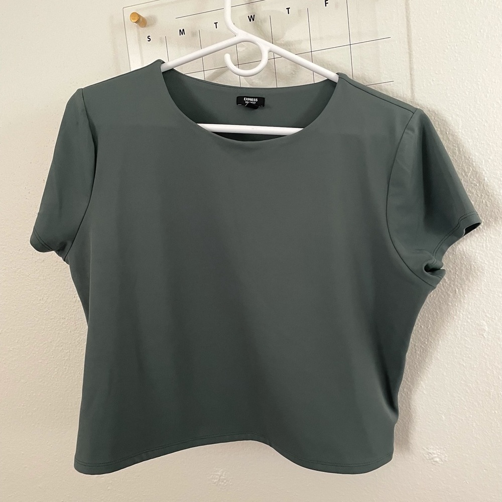 NWOT Express Body Contour Matte 90's Cropped Tee